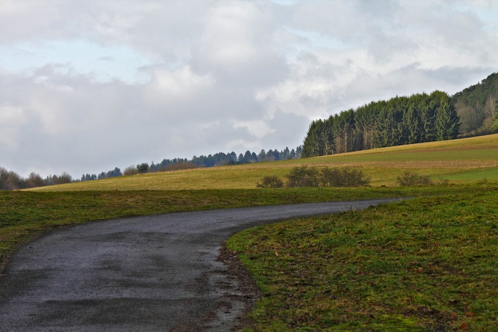 Wald zwischen Allendorf und Haigerseelbach by SebSchneider