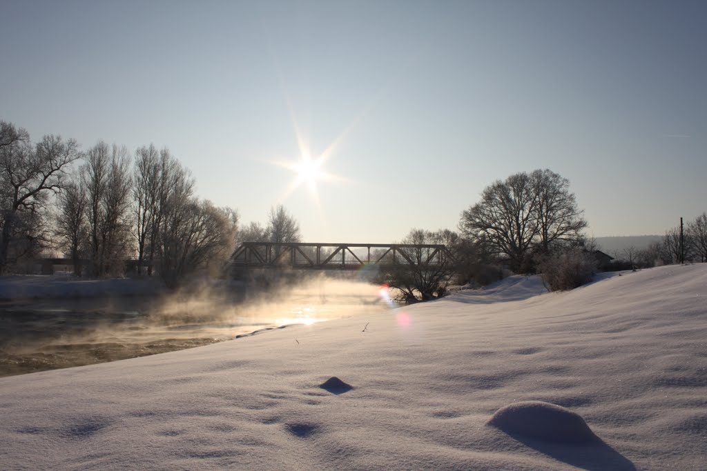 Eisenbahnbrücke bei der Fähre Pettstadt by Schmeukel