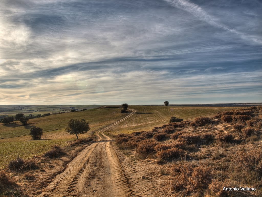 Camino hacia el río by antonio.vallano