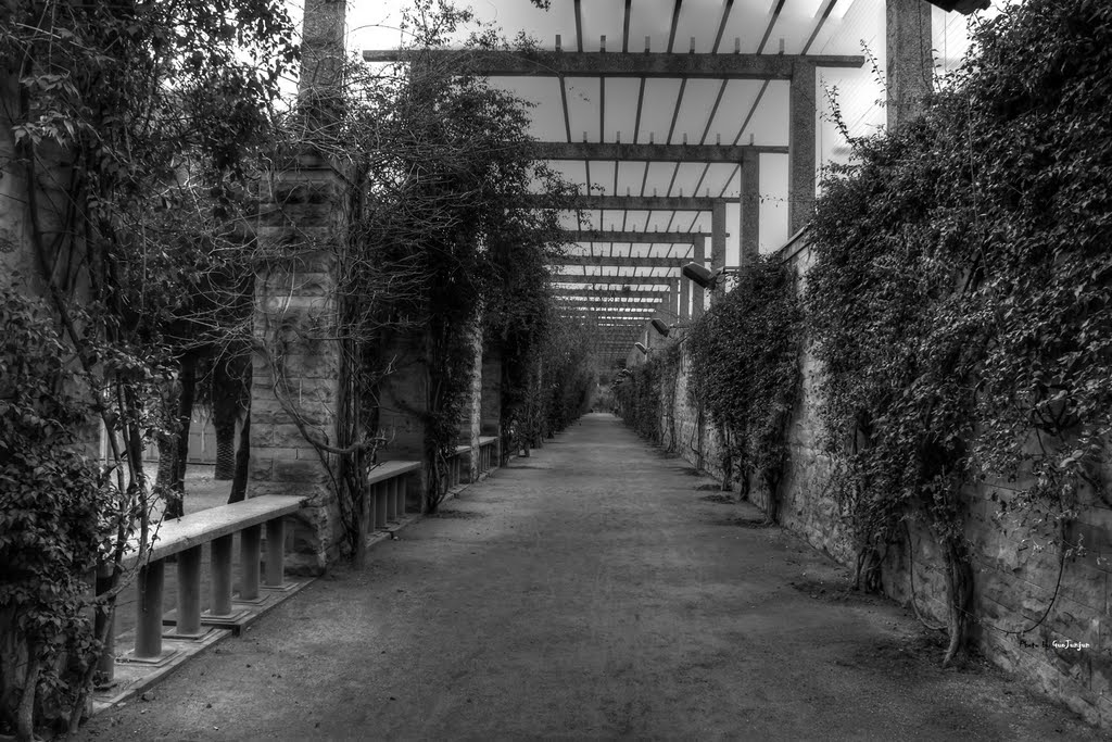 Park at Tarragona, Barcelona by GuoJunjun