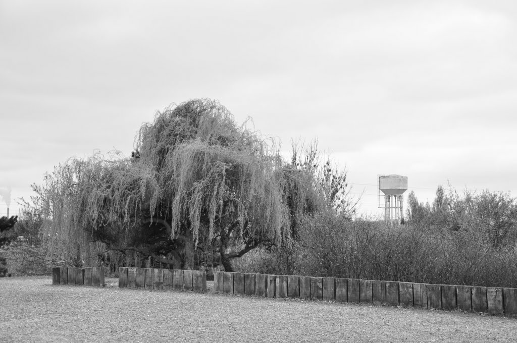 PAVILLON DU PARC DÉPARTEMENTAL À L'ILE-SAINT-DENIS by remus79