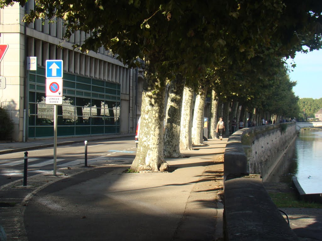 Les Platanes du Quai Veil Picard - Besançon ( Sept 2010 ) by Stanislas St Pons de la Jonguière