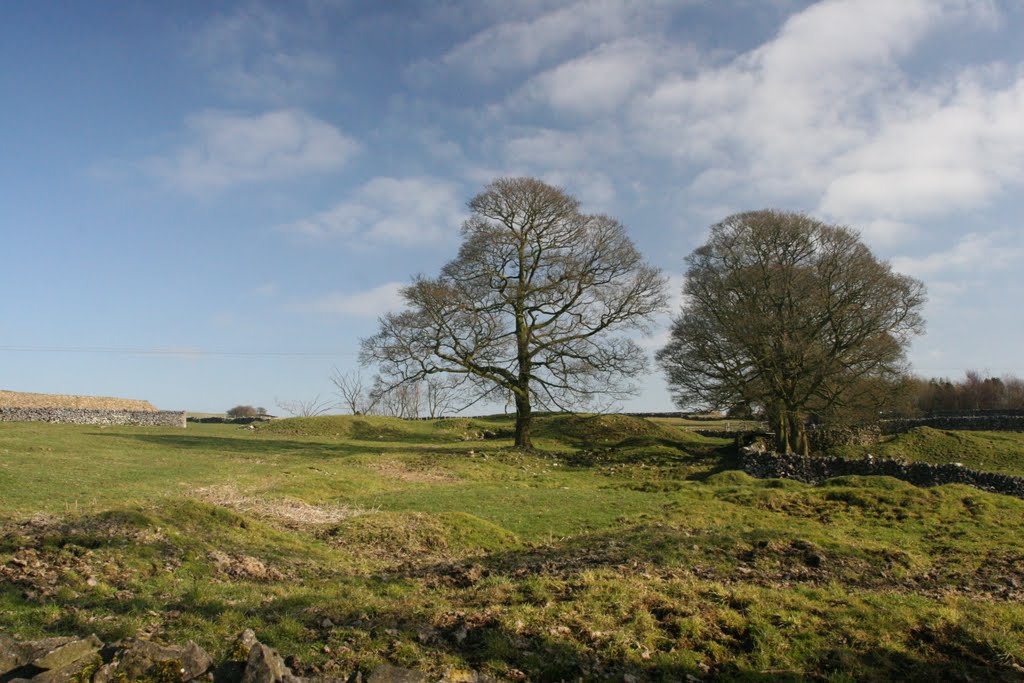 Mine Tips at Edge Rake Mine, Wheston by davew@tidza