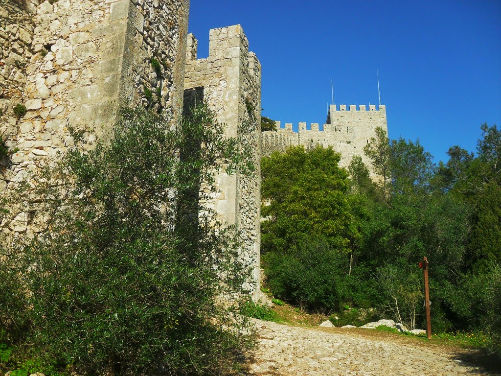 CASTILLO DE SESIMBRA by ANGEL, EL ALFA III