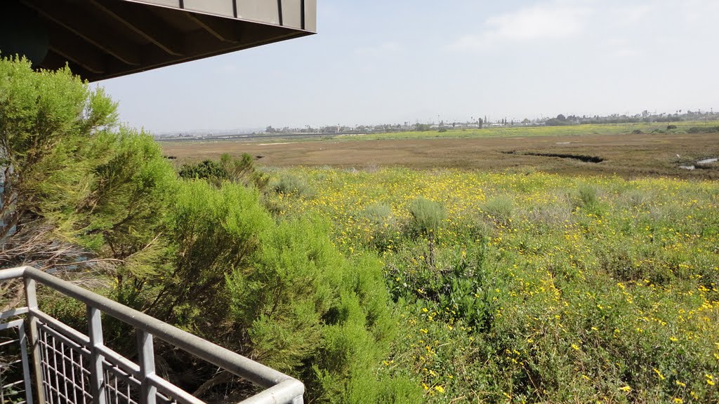 Chula Vista Nature Center by Salvador A.