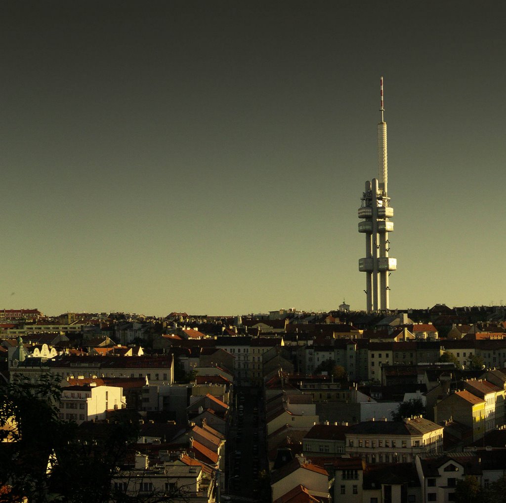 Žižkov, tower 07 by martinclif