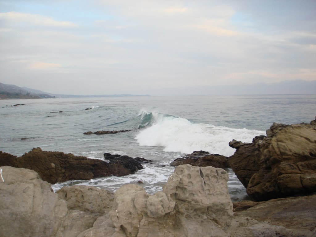 Beautiful Malibu Beach by laura f