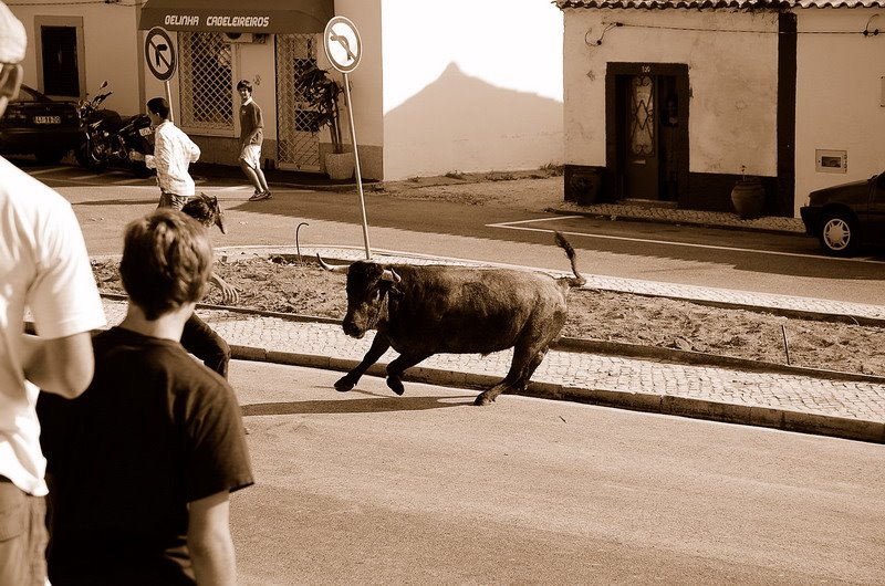 Festa de Santo Estevão - 2007 by http://pedroalmeidaf…