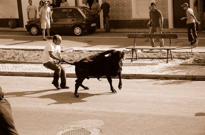 Festa de Santo Estevão - 2007 by http://pedroalmeidaf…