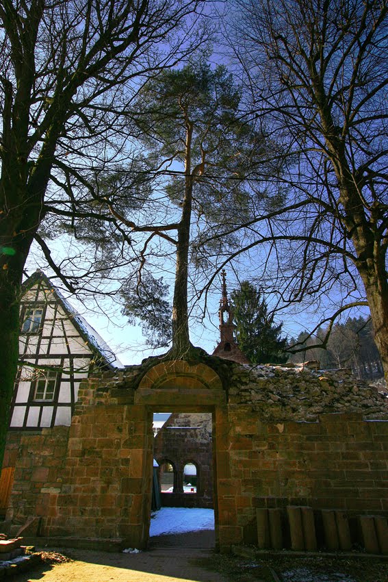 Pforte zum Paradies im Kloster Bad Herrenalb by Tobias Laible