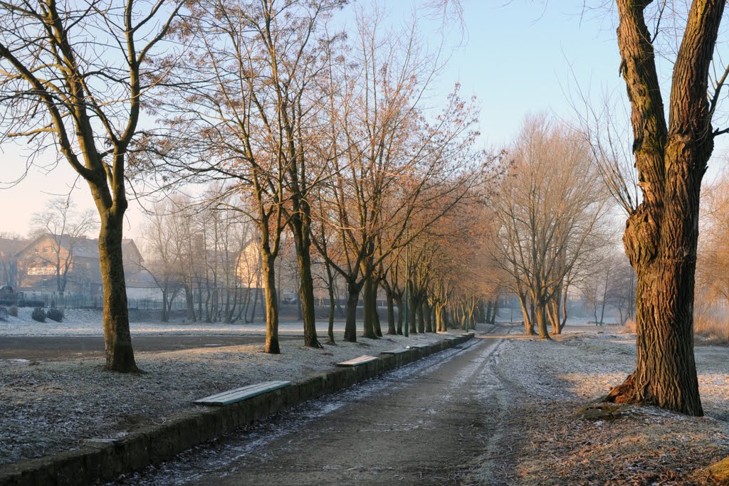 Nad jeziorem zimą by wrzesientomek