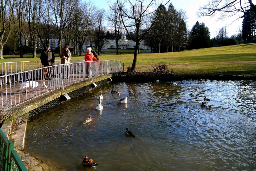 Parkfreuden by Holger Uwe Schmitt