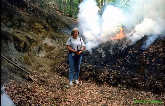 Monte Vallatrone (AV), Vita da carbonaio 1995. by Fiore Silvestro Barb…