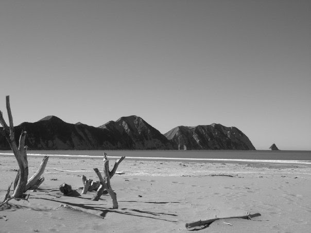 Tolaga Bay by Karen Brodie