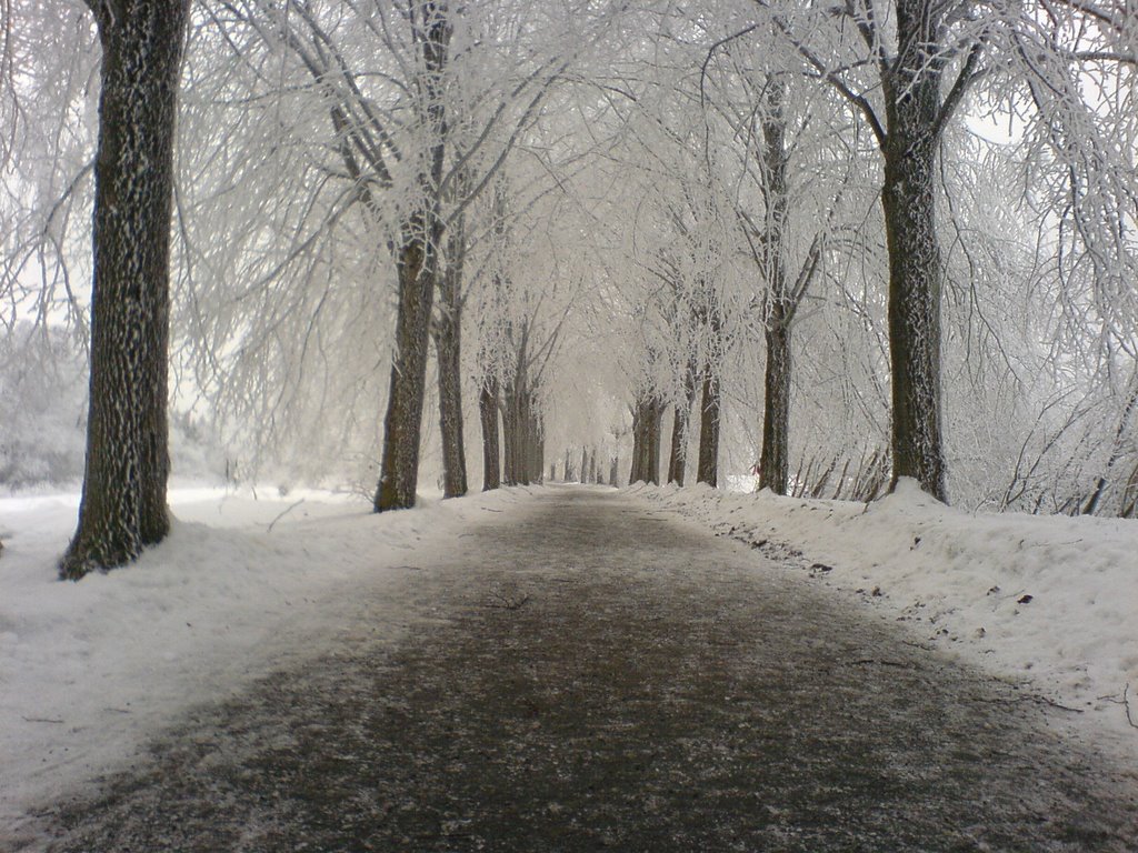 Braunlage im Winter, Haushang nahe Rathaus, Wanderweg by mizzz