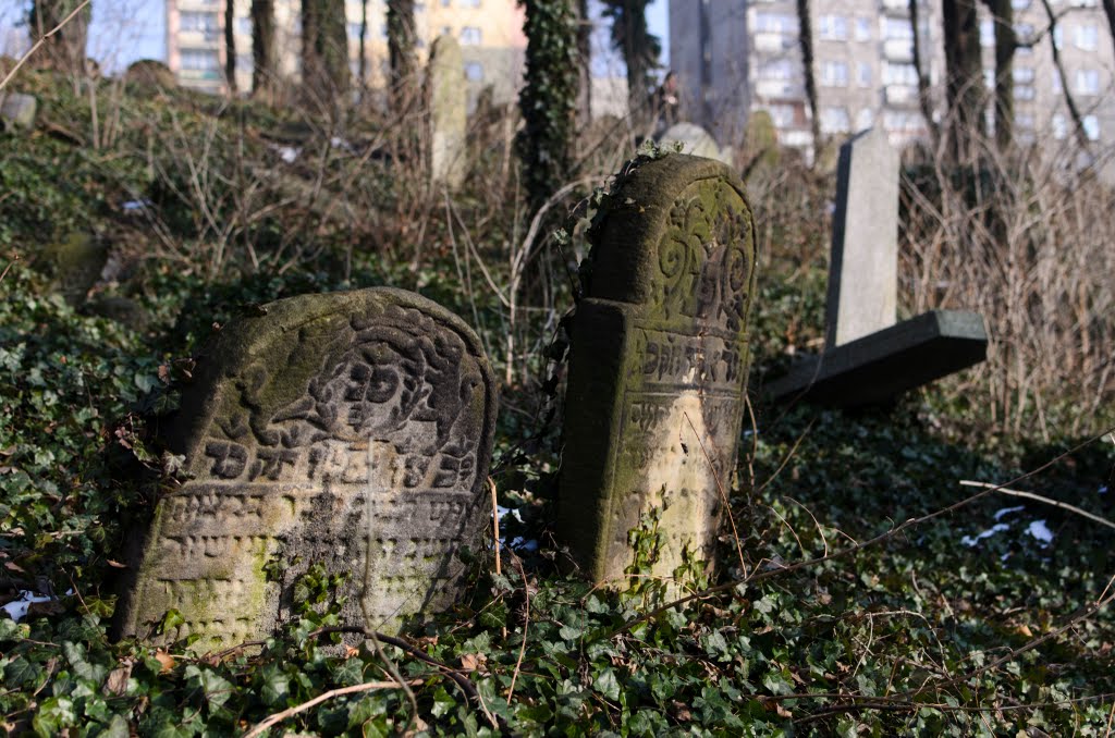 Old Jewish Cemetery by gengor