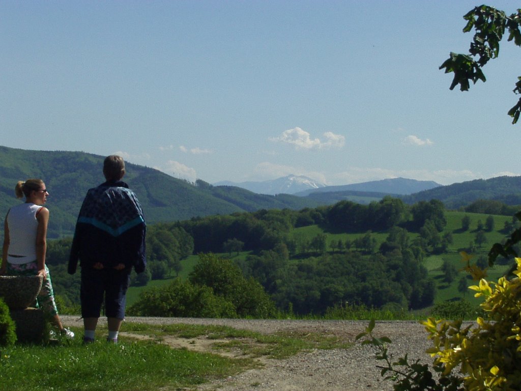 Blick von Panoramastraße auf Berglandschaft bei Eck (Neustift-Innermanzing) by Sonja Doppler