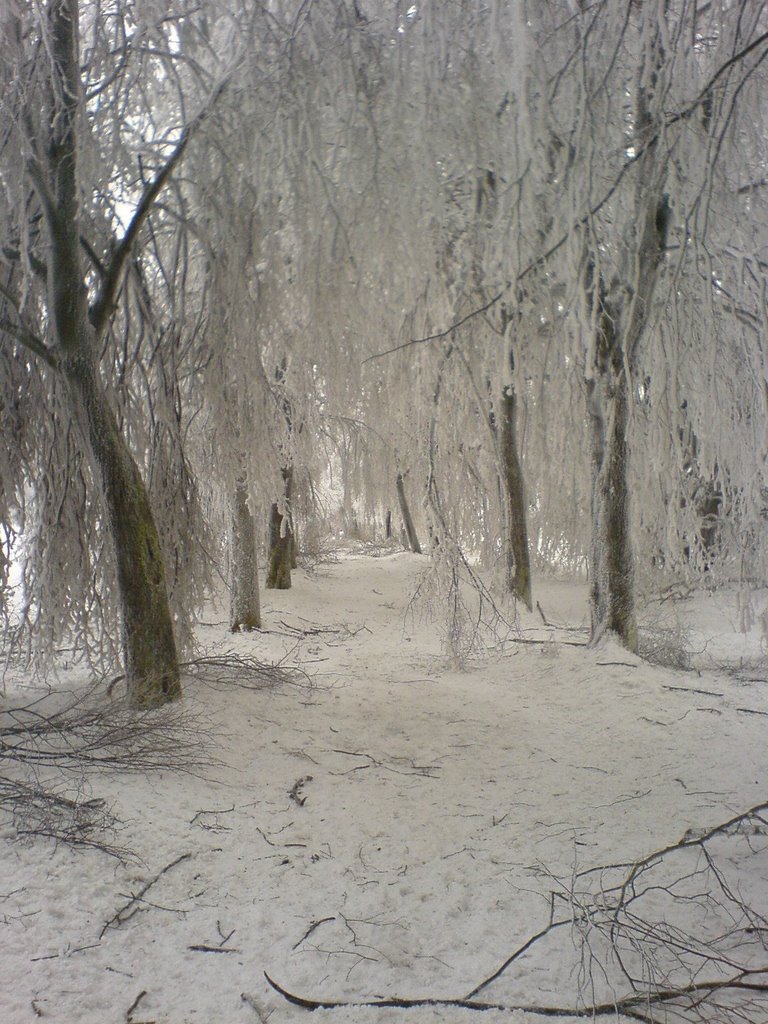 Braunlage im Winter, Haushang beim Rathaus, by mizzz