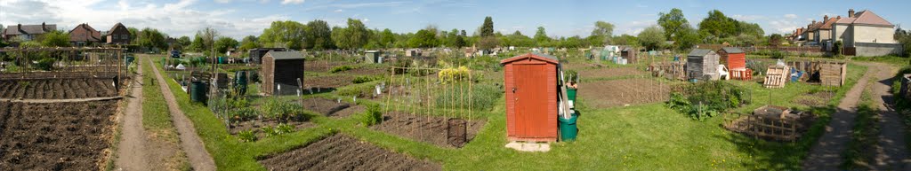 Northcroft Road Allotments by Scottalanlewis