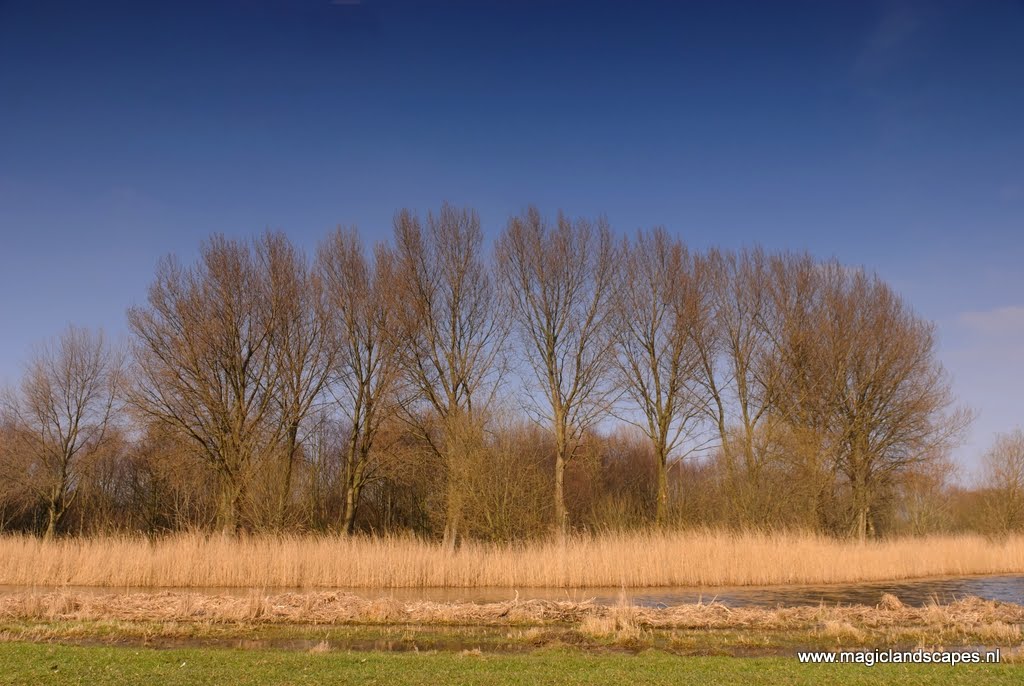 Kromslootpark bij almere maart 2011 by Arjan Keers