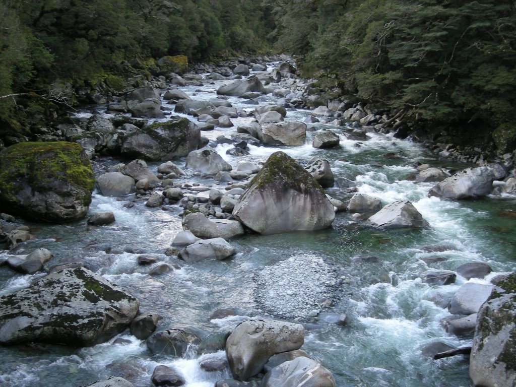 On Te Anau-Milford Highway by Ryan Frazer