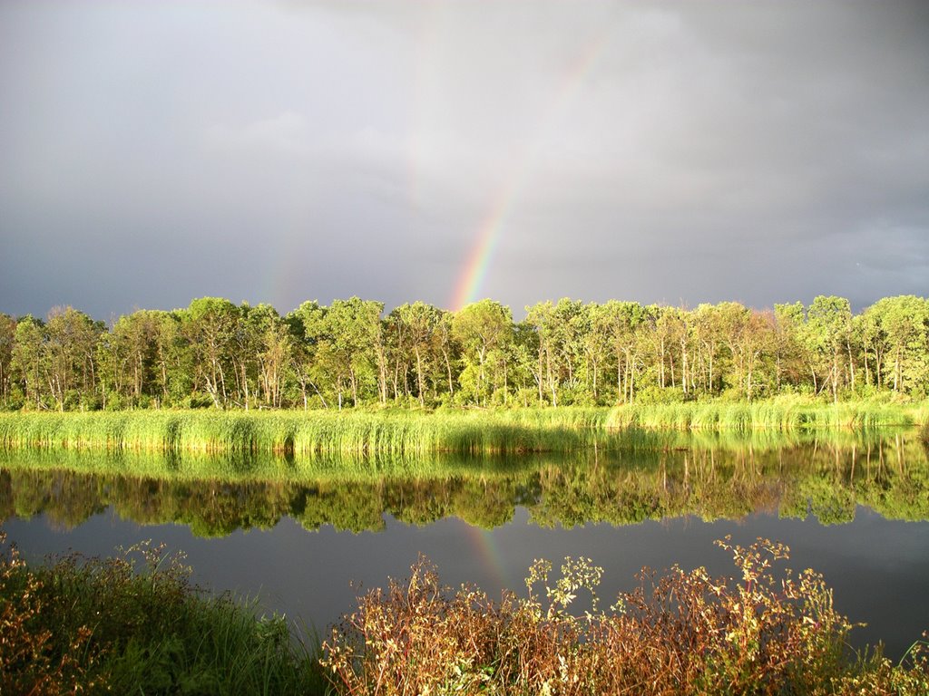 Voskresensky District, Saratov Oblast, Russia by Nikolay Morozov