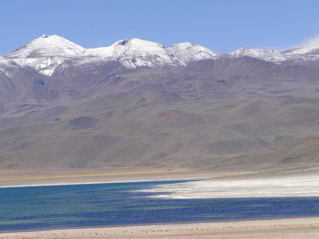 San Pedro de Atacama - Lagunas Miscanti / Miñiques by BARBOSA®