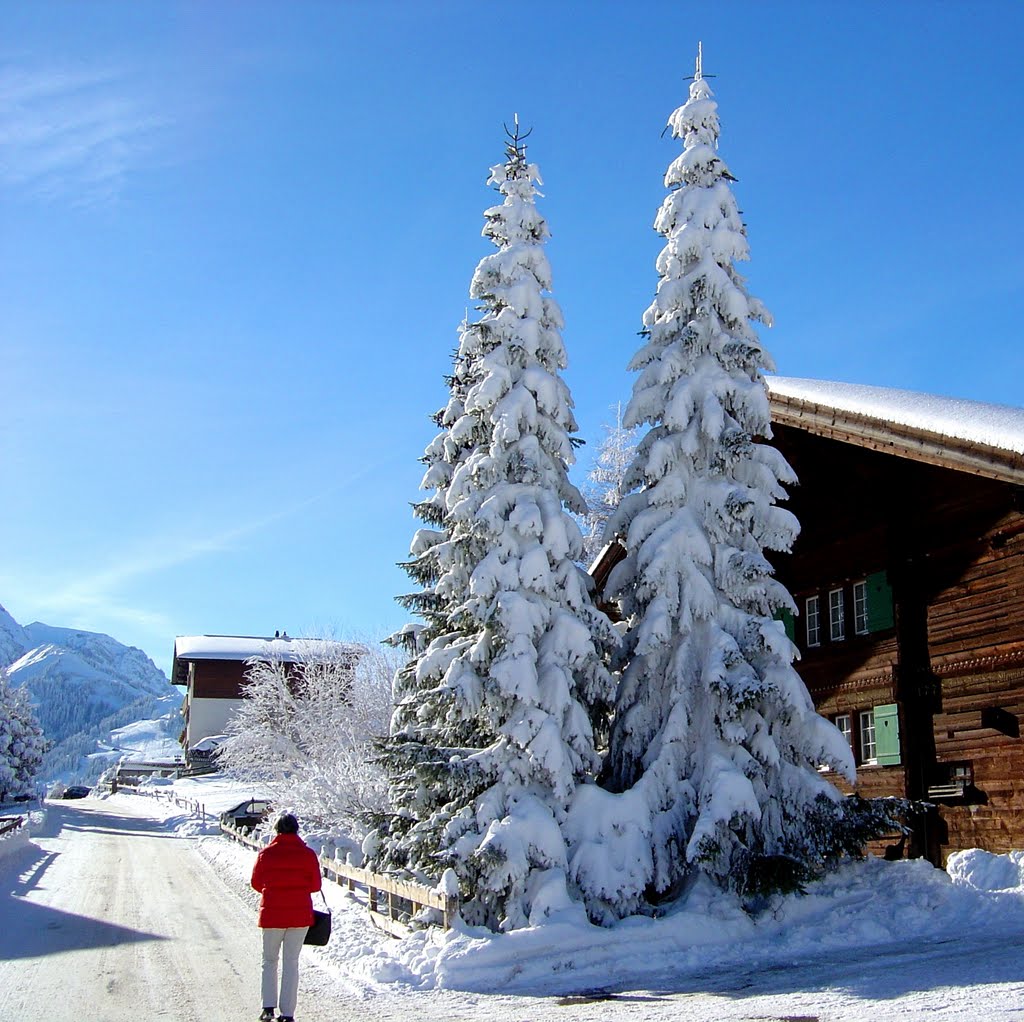 Adelboden by alfonso minoli