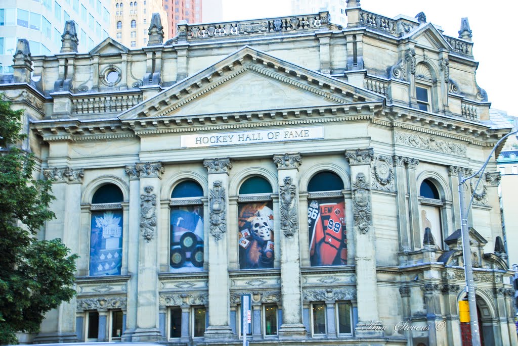 Hockey Hall of Fame - Toronto by bluenose11