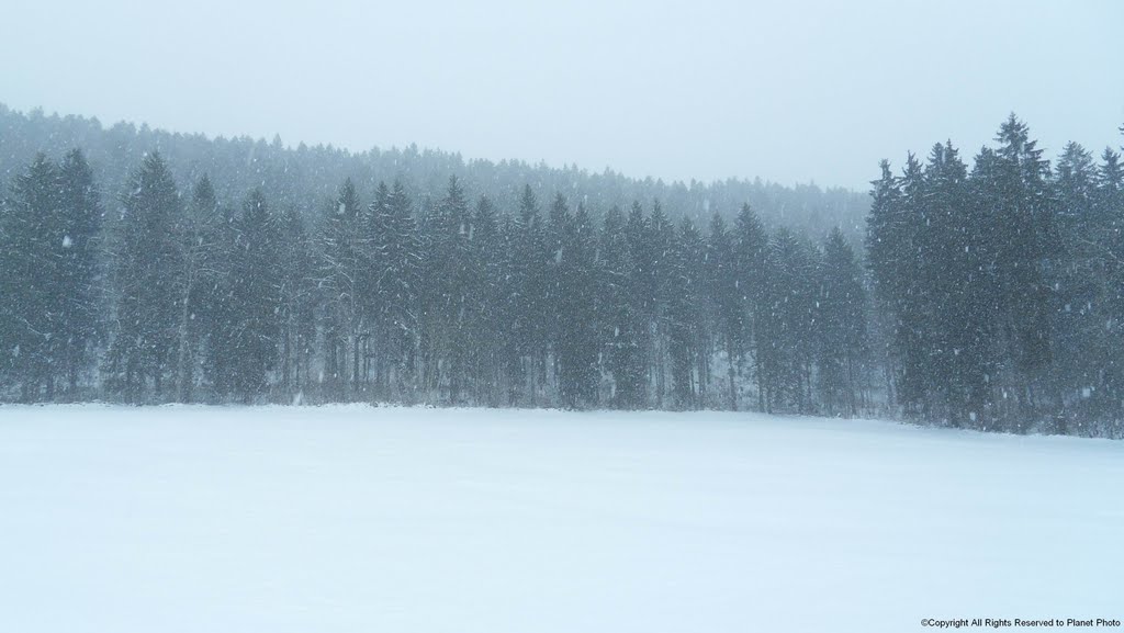 Tempête de Neige by Planet Photo