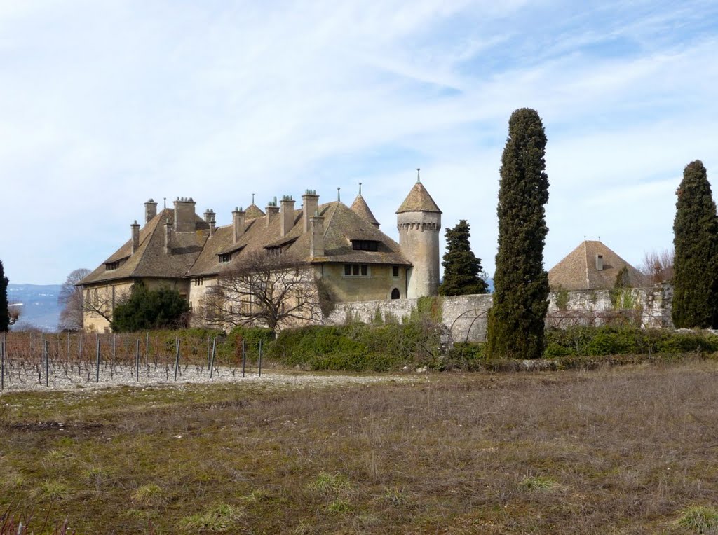 Le Château de Ripaille 21.02.2010 by Jean-Luc.