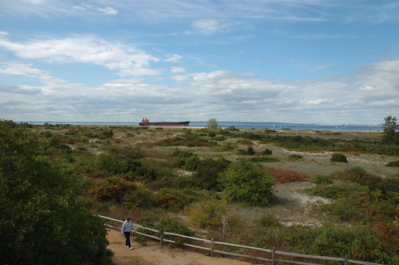 Sandy Hook tip from bird observation tower by tjarmstrong