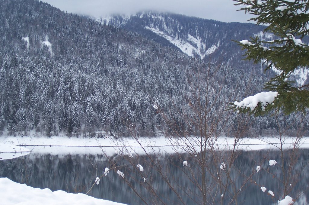 Lago sauris + neve by ilcastigo