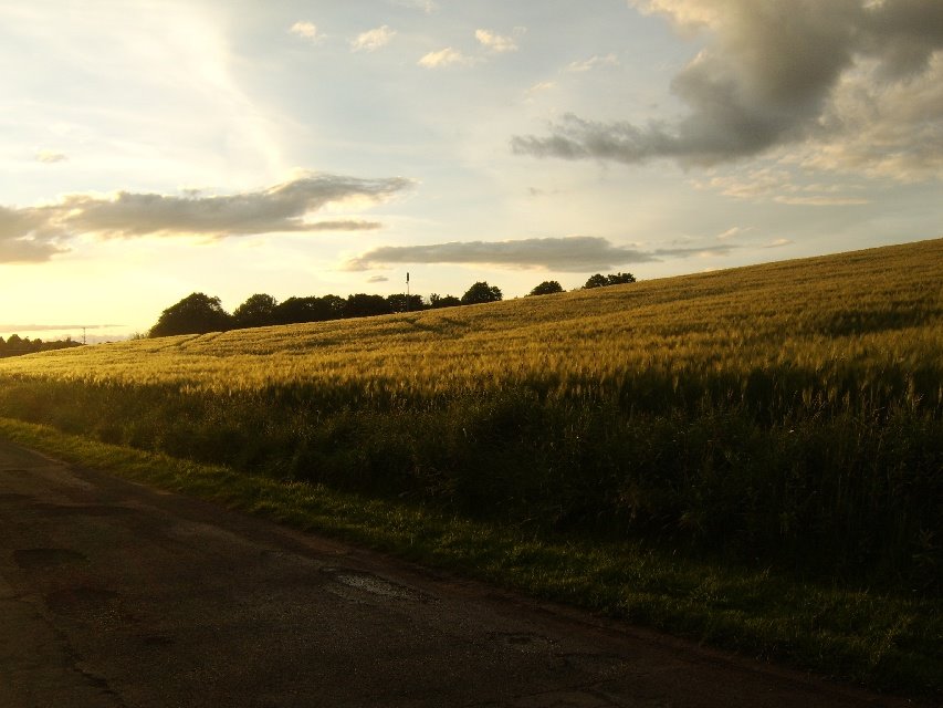 Fields behind Bishopton at sunset by seventiescopshow