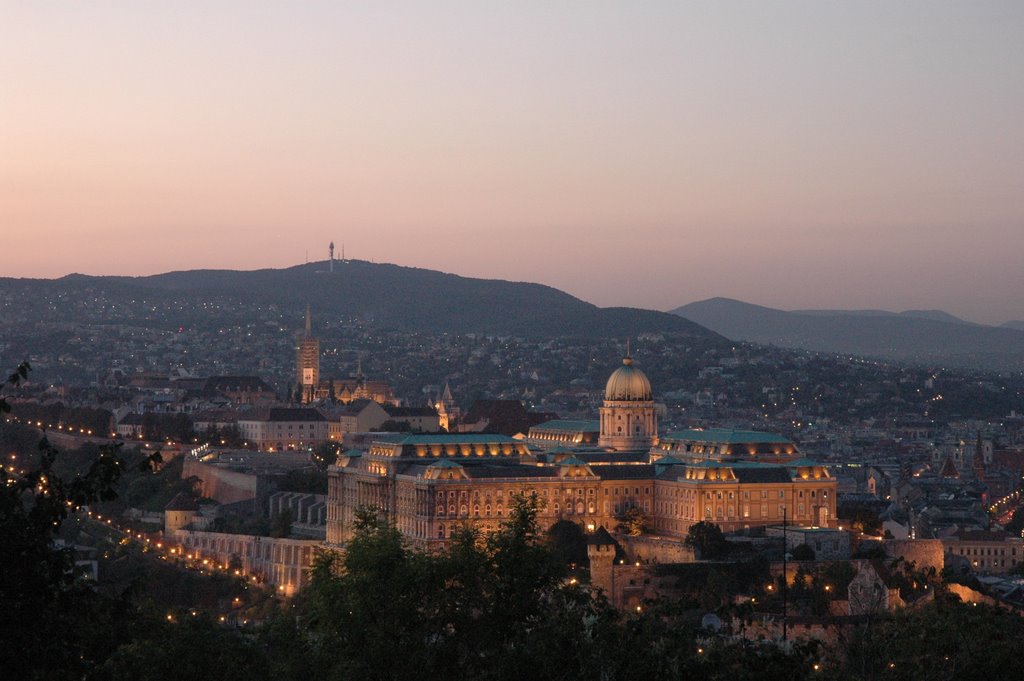 Castle of Buda at Night by Schwarzos