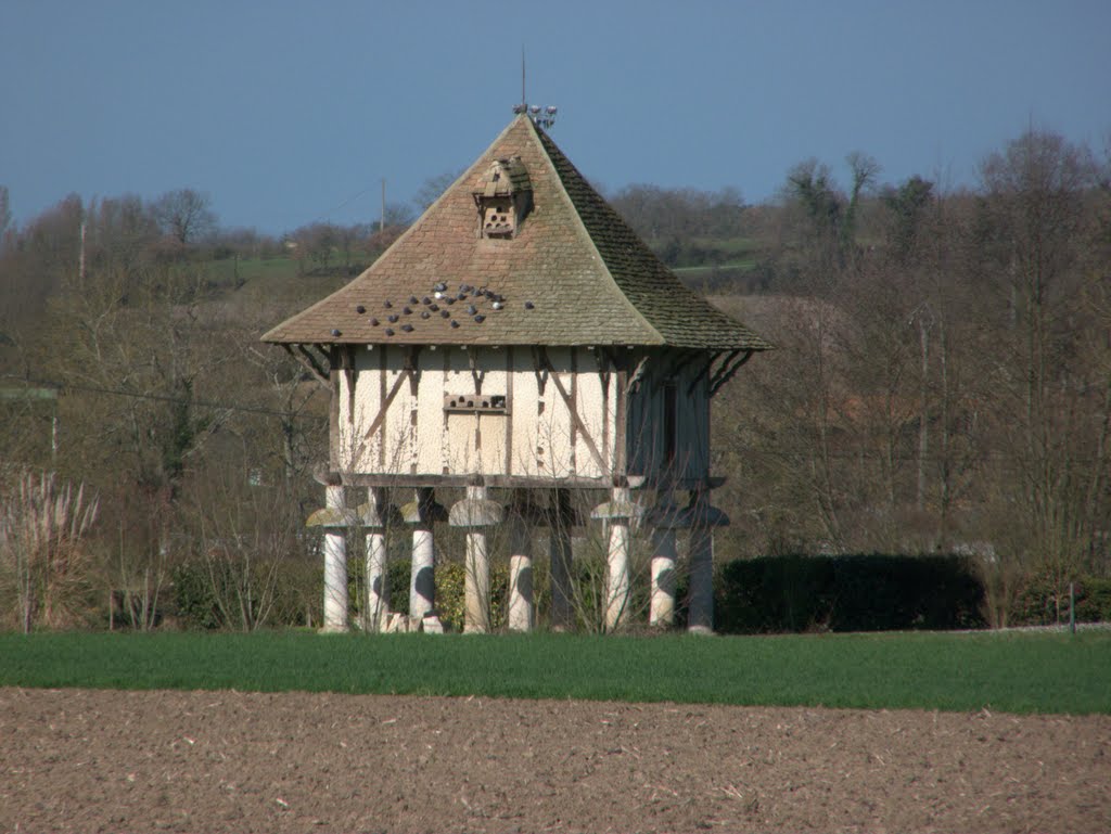 Pigeonnier à La Sauvetat du Dropt by montestier