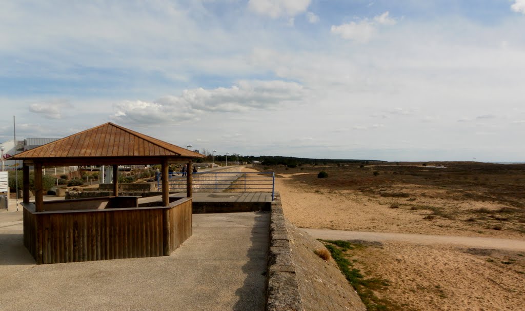 Frond de mer à la Faute sur Mer (THIEU) by Thieu83