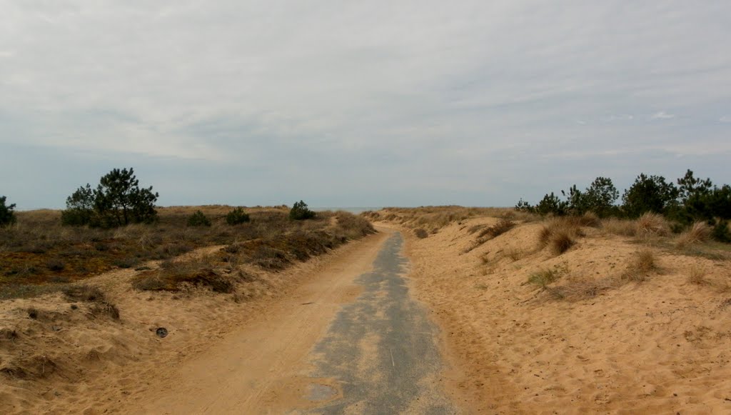 Chemin au milieu des Dunes à la Faute sur Mer (THIEU) by Thieu83