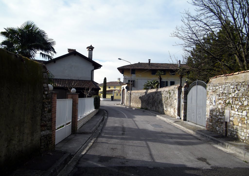 Aquileia (UD) - Via Livia by MaurizioTex