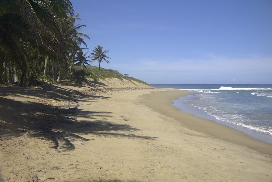 La Playa by el Mechanico