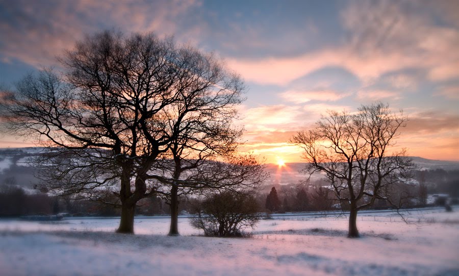 Winter dawn by Martin Lowery