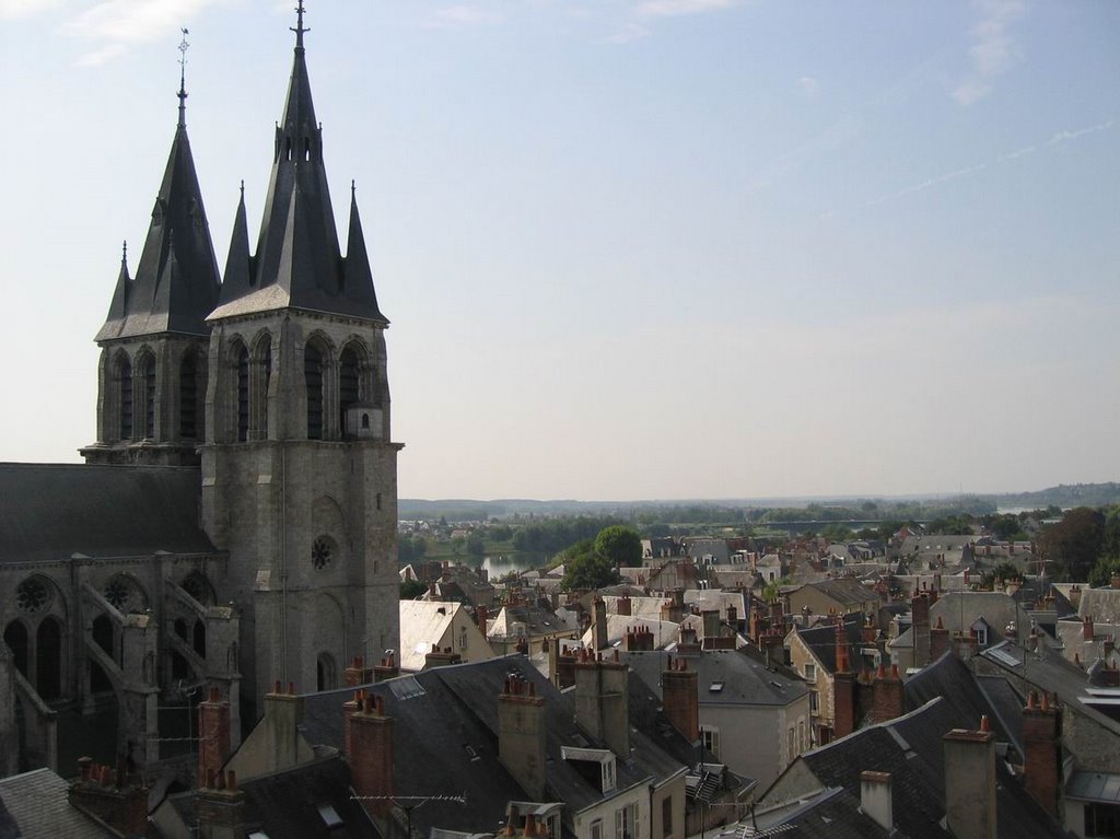 Blois - Panorama by Alessandro Girelli