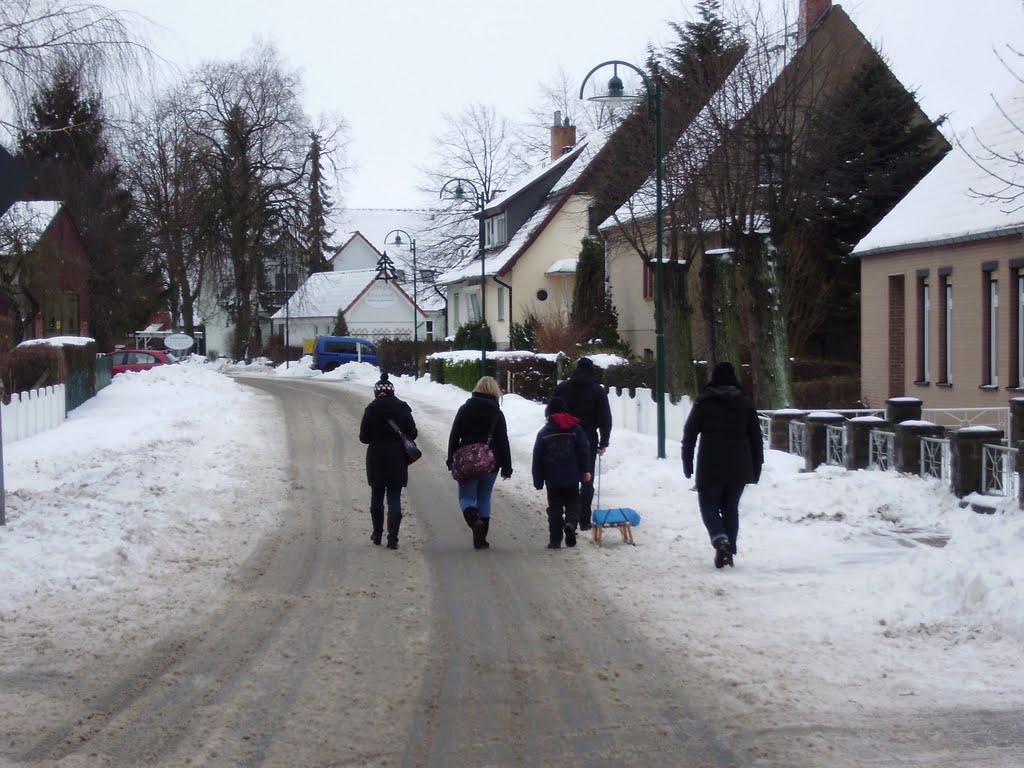 Tarnewitzer Winter-Dorfstraße - Wer seinen Schlitten lieb der zieht! by •• HaHeBa (D) ••