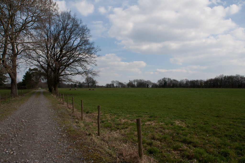 Wandelroute Méry, België (omgeving Hayen, Dolembreux en Haut'gné) by mennoslaats