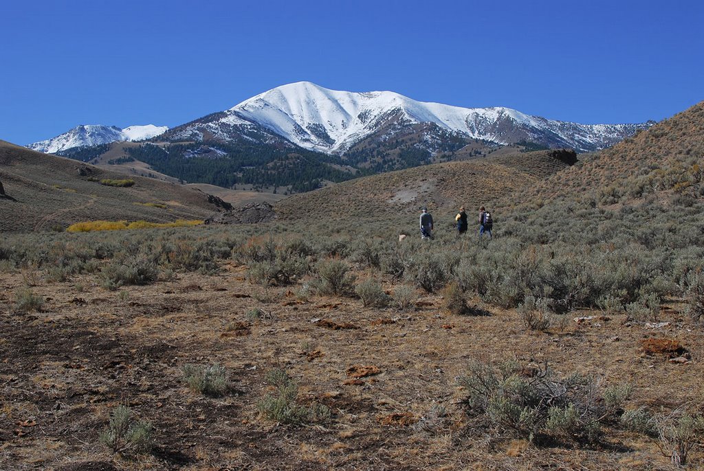 The sad reality of Fox Creek. Cow flops and beaten out sagebrush by Ralph Maughan