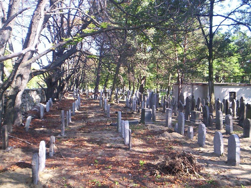 Jewish Cemetery, Chrzanow, Poland by FromWikipedia123