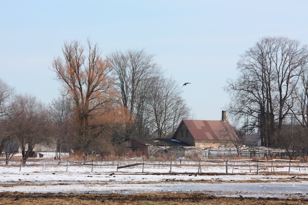 Field and house in Marupe by Анастасия Попова