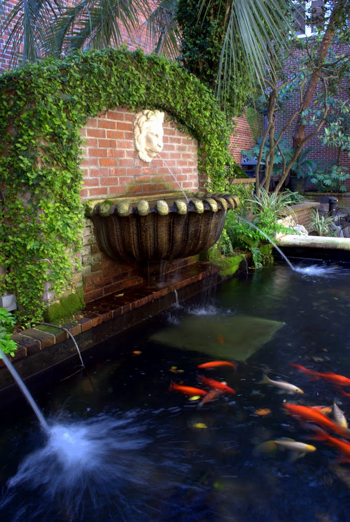 Lion Headed Koi Pond by Brooks Family