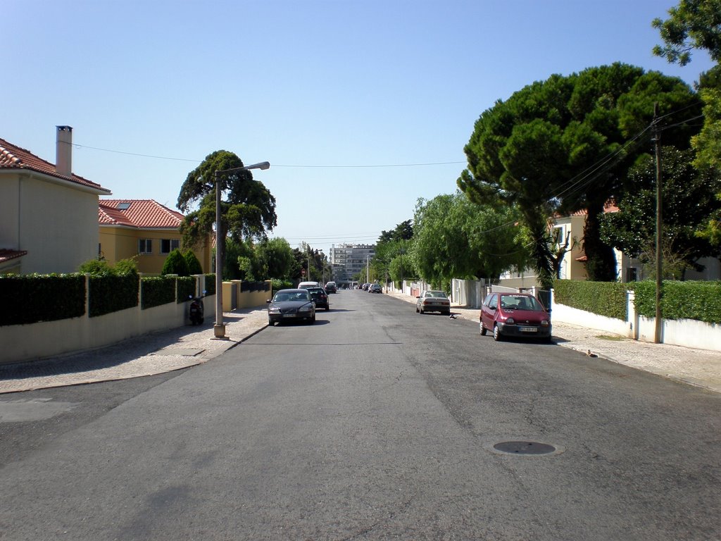 Rua Soldado da Índia by Nuno Trabulo