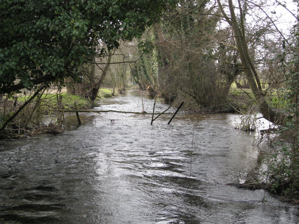 River Nar, West Acre by midge2475